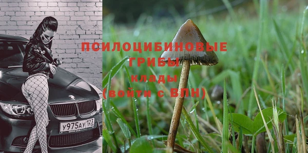 спиды Видное