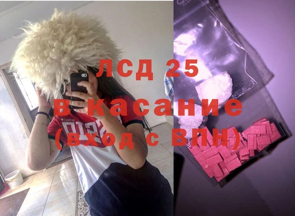 индика Богданович